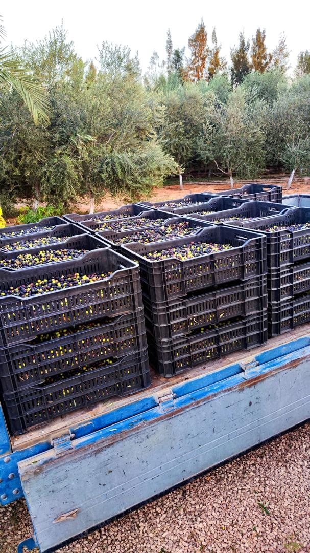 Palletized shipments